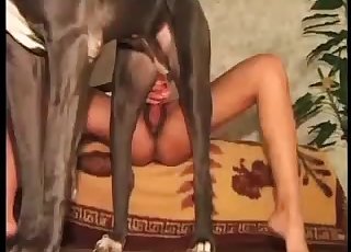 Sexy pet fucks a lusty whore in her beaver