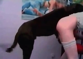 Bitch is getting screwed by a mutt