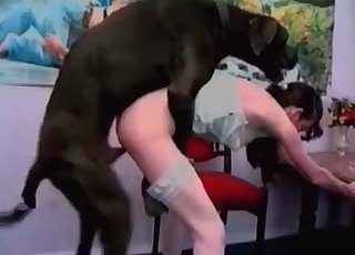 Bitch is getting screwed by a mutt