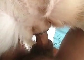 Owner stretches asshole of his animal