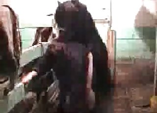 Zoophilic slut is fucking with small pony