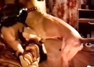 Dirty super-naughty mutt fucks a lustful bestial slut