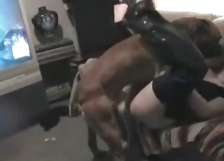 Pro fellatio provided by a trainer rear end