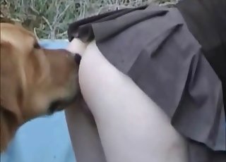 Farm sex with a blonde and her trained pet