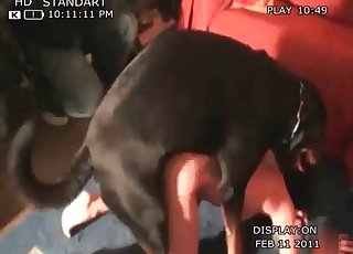 Truly astounding bestiality action