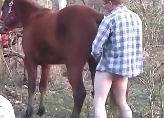 Hors adores asshole fingering