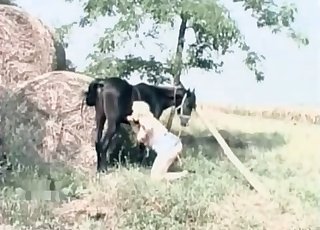 Pleasing a pony is pleasure for me