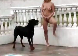 Outdoor sex with a nice black dog