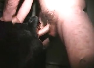 Dirty anal activity in the zoophilia fashion