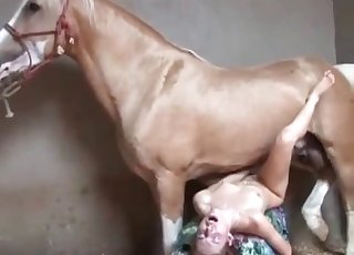 Nice horse cock in a taut honeypot