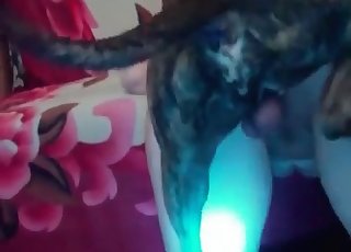 Impressive amateur zoophilia porn action