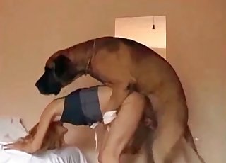 Hound's wiener is a gift for a zoofil