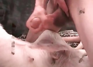 Zoophile is banging a petite animal with a hardcore force