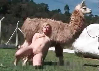 Farm animality action with a lusty whore