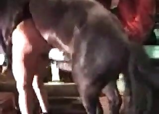 Tight gash is being impaled hard by a horse