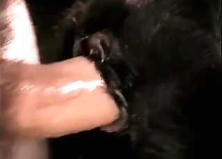 Anal sex with a horse at the old farm