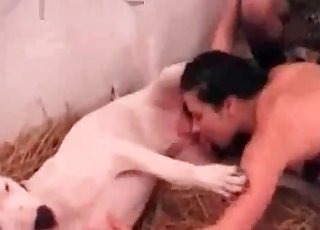 Orgy