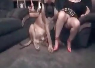 Perverted slut and her cute hefty rear end