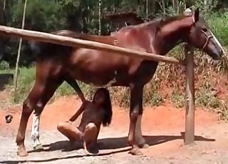 Some fresh stallion jizz for a lusty zoophile