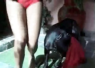 Ebony zoophile is playing with a farm brute