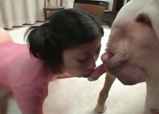 Doggy is having a nice bestiality game