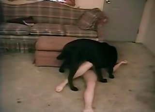 Dog cock is getting sucked by a lustful pervert