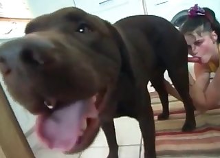 Doggy loves intensive bestiality