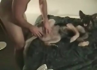 Bestial buttfuck fucky-fucky activity with a German dog