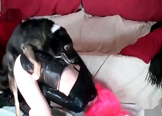 Truly insane bitch pokes with two doggies