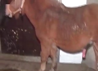 Crazy owner idolizes this uber-cute puppy