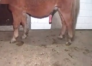 Μουλιασμένο μουνί που καταστράφηκε από ένα θηρίο