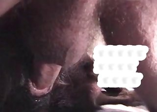 Sweet bestiality sex in the close-up shot
