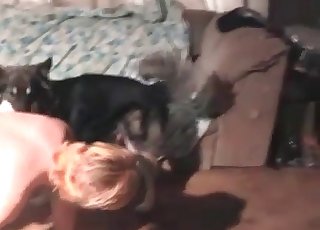 Doggy loves fat host and bestiality sex