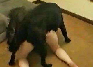 Sweet pet is banging a tight cooter