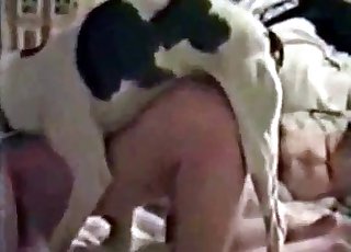 Hành động thú tính tinh nghịch của một thiếu niên dâm đãng