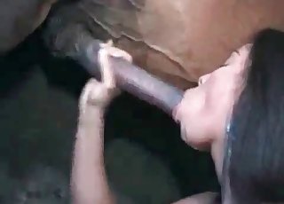 Ebony is providing a head for a colt