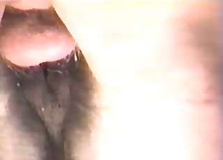 Velký kůň v detailním záběru