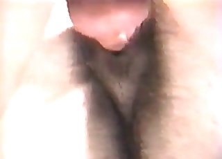 Big horse in the close-up shot