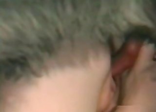 Couple of girls and their horny animal