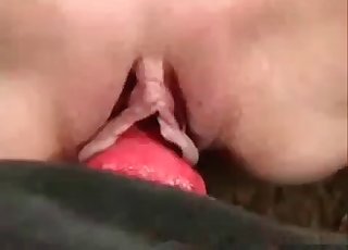 Dirty zoophilic oral work with a dog