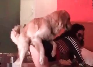 Orgy in the rear end fashion with a puppy