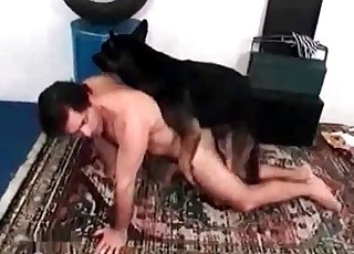 Dog is boning my lovely husband