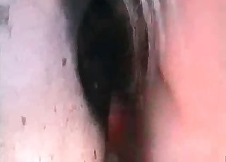 Absolutely insane bestial action