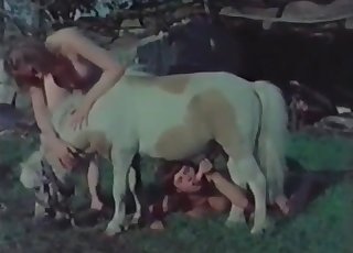 Dog’s penis is getting sucked by two amateurs