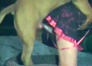 Big crimson rocket in her tight pussy