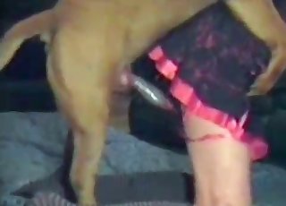 Big crimson rocket in her tight pussy