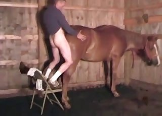 Sweet horsy and some wild sex