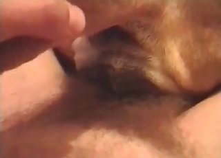 Depraved assfucking zoophilia on cam