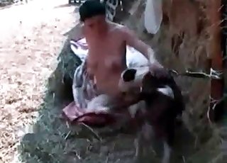 Mutt calming and getting a BJ