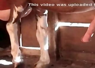 Sex ve stodole s nezbednými koňmi